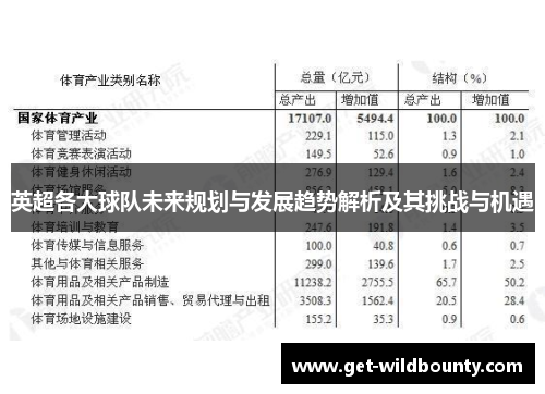 英超各大球队未来规划与发展趋势解析及其挑战与机遇